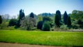 Belsay Castle, Hall and Gardens