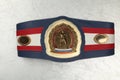 Belt Boxing champion Royalty Free Stock Photo