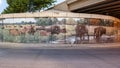 Belt Line Mural by Tommy Weddle depicting prairie scenes and wetlands from Grand Prairie\'s frontier days. Royalty Free Stock Photo