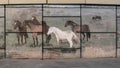 Belt Line Mural by Tommy Weddle depicting prairie scenes and wetlands from Grand Prairie's frontier days. Royalty Free Stock Photo