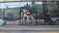 Belt Line Mural by Tommy Weddle depicting prairie scenes and wetlands from Grand Prairie's frontier days. Royalty Free Stock Photo