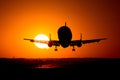 Beluga airplane silhouette in the sun , final approach on runway landing Royalty Free Stock Photo