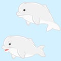 Beluga illustration in cartoon shape