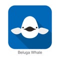 Beluga whale face flat icon vector illustration Royalty Free Stock Photo