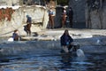 Beluga whale feeding at Mystic Aquarium in Connecticut Royalty Free Stock Photo