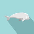 Beluga whale icon, flat style Royalty Free Stock Photo