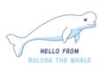 Beluga whale illustration of a cute sea animal, ocean inhabitant Royalty Free Stock Photo