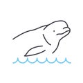 beluga whale line icon, outline symbol, vector illustration, concept sign Royalty Free Stock Photo