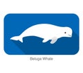 Beluga whale swimming in the water, flat icon, vector illustration Royalty Free Stock Photo