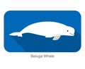 Beluga whale swimming in the water, flat icon, vector illustration Royalty Free Stock Photo