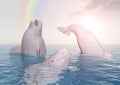 Beluga whales and rainbow Royalty Free Stock Photo