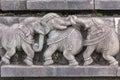 Plinth of three fighting elephants at Chennakeshava Temple in Belur, India Royalty Free Stock Photo