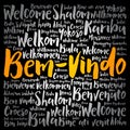 Bem-Vindo (Welcome in Portuguese) word cloud