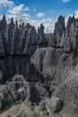 Bemaraha tsingy nature reserve view Royalty Free Stock Photo
