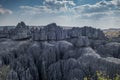 Bemaraha tsingy nature reserve view Royalty Free Stock Photo