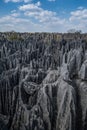Bemaraha tsingy nature reserve view Royalty Free Stock Photo