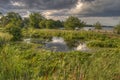 Bemidji, Minnesota on a Summer Day