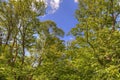 Bemidji State Park on Lake Bemidji