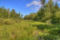 Bemidji State Park on Lake Bemidji