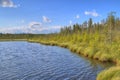 Bemidji State Park on Lake Bemidji