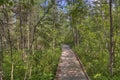 Bemidji State Park on Lake Bemidji