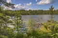 Bemidji State Park on Lake Bemidji