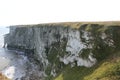 Bempton Cliffs nature reserve, landscape of Yorkshire Coast with seabirds circling by the cliff edge