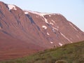 Ben Alder at sunrise with some Red Deer, Scotland Royalty Free Stock Photo