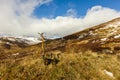 Ben Chonzie, Perth and Kinross/ United Kingdom - March 14, 2019: A view of a Grivel G12 new classic crampon and ice axe