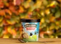 Ben & Jerry`s strawberry cheesecake Ice Cream on the wooden table outdoor against natural autumn blurred background.