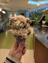 Ben and Jerry's Ice Cream cone