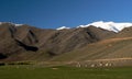 Ben Ohau farm, Pelannor fields, Lord of the Rings Royalty Free Stock Photo