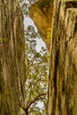 Ben`s Walk in Nowra along the Shoalhaven River