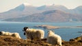 Ben Tianavaig mountain hike in the Scottish Highlands on a sunny afternoon on the Isle of Skye, United Kingdom.