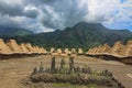 Bena a traditional village with grass huts of the Ngas people in Flores near Bajawa, Indonesia. Royalty Free Stock Photo