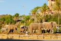 BENALMADENA, SPAIN - 21 NOVEMBER 2022 Roundabouts of the elephants in the Spanish town of Benalmadena, on the coast of Costa del