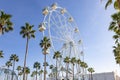 Giant Ferris Wheel Mirador Princess, Panoramic viewpoint between palm trees in Puerto Royalty Free Stock Photo