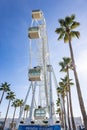 Giant Ferris Wheel Mirador Princess, Panoramic viewpoint between palm trees in Puerto Royalty Free Stock Photo