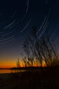 Benbrook Star Trails Royalty Free Stock Photo