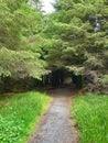 Benbulbin, Benbulben Mountain Trail, County Sligo, Ireland