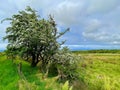 Benbulbin, Benbulben Mountain Trail, County Sligo, Ireland