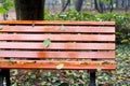 Bench Royalty Free Stock Photo