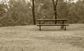 Bench Royalty Free Stock Photo