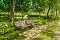 A bench in the alley in the park