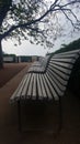 Bench alley under tree in the park