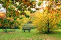 Bench along lake in autumn