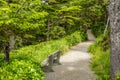 Bench along a Nature Trail