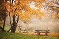 Bench autum park and lake Royalty Free Stock Photo