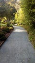 Bench, autumn colors, life path, walk, garden, fir