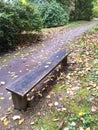 A bench, autumn in Dendrological Park Arboretum Silva Royalty Free Stock Photo